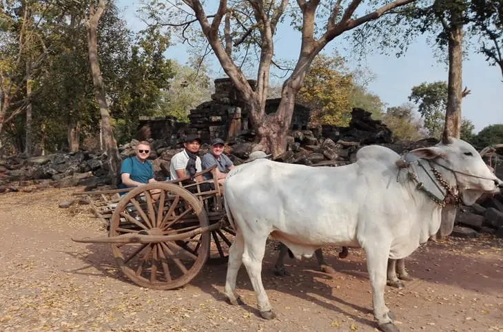 banteay chhmar ox cart ride cambodia glamping luxury